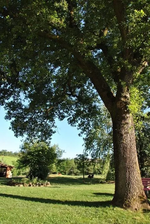 B&B La vecchia quercia Home Restaurant Fornovo di Taro Bed and breakfast